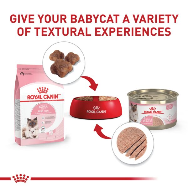 Royal Canin Feline - Image 4