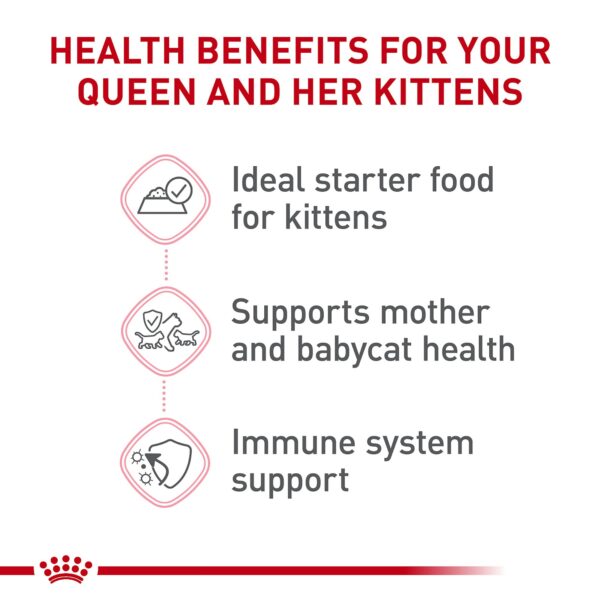 Royal Canin Feline - Image 5