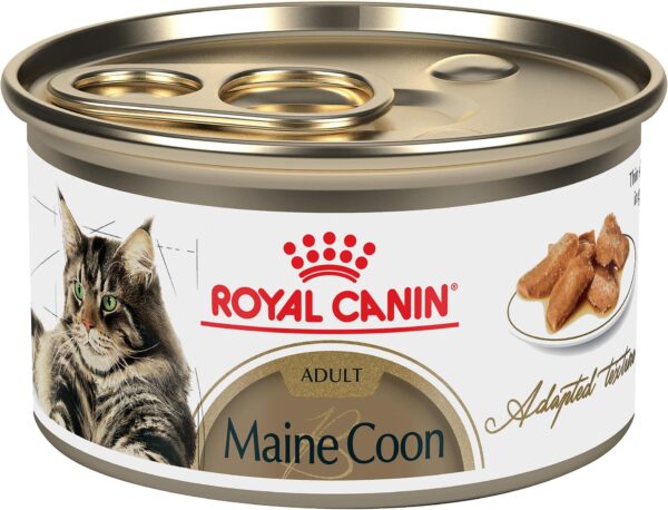 Royal Canin Feline